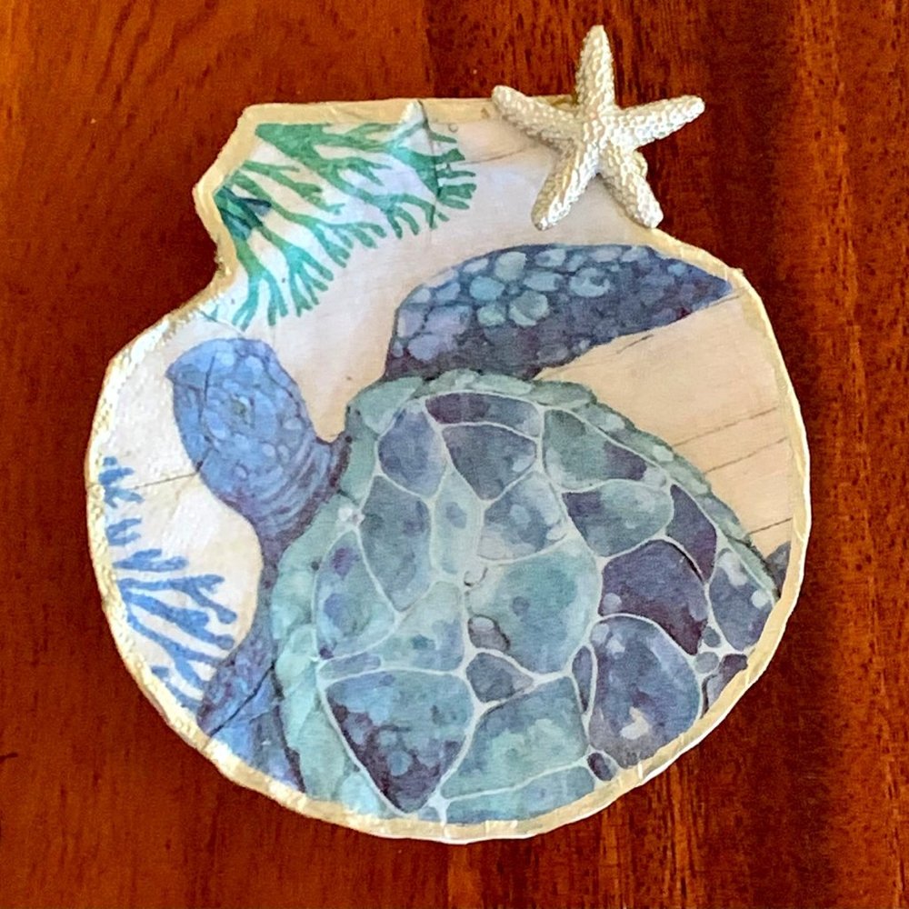 Scallop Shell Jewelry Keeper - Honu (turtle)
